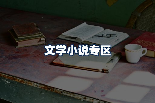 文学小说PDF展示